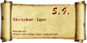 Stricker Igor névjegykártya
